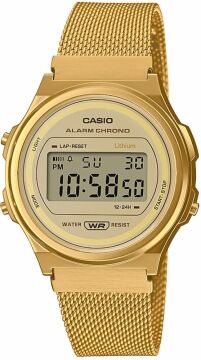 Casio A171WEMG-9ADF Kadın Kol Saati