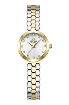 Reward RWA146906 Küçük Minimal Çelik Kadın Kol Saati