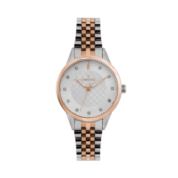 Essence ES6561FE.530 Çelik Kadın Kol Saati