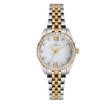 Essence ES6661FE.220 Kadın Kol Saati